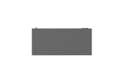 RG-ES124G-L 